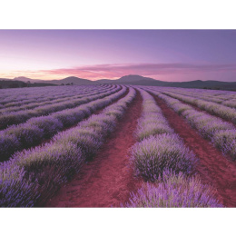 Παζλ 500 Jigsaw Lavender Fields  (SC-1)