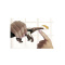 Playmobil Wiltopia: Παιδιά Φροντιστές Ζώων με Μυρμηγκοφάγο  (71012)