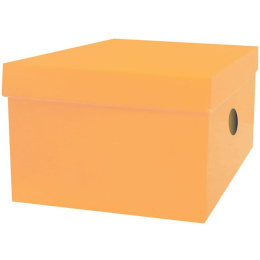 Κουτί Αποθήκευσης Απο Χαρτόνι 6Χρώματα 33x24x18εκ  (006646686)