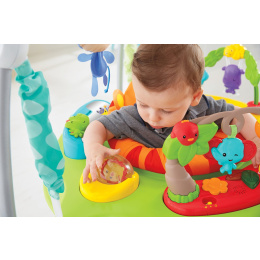 Fisher Price Jumperoo Λιονταρακι  (CHM91)