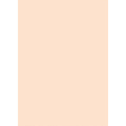 Χαρτι Canson Colorline 50X70 Σε Κρεμ Σομον Χρωμα Cream  (105741147)