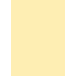 Χαρτι Canson Colorline 50X70 Σε Ανοιχτο Κιτρινο Χρωμα Straw Yellow  (105741003)