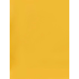 Χαρτι Canson Colorline 50X70 Σε Κιτρινο-Πορτοκαλι Χρωμα Buttercup  (105741151)