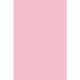 Χαρτι Canson Colorline 50X70 Σε Ανοιχτο Ροζ Χρωμα Rose Petal  (105741133)