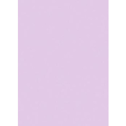 Χαρτι Canson Colorline 50X70 Σε Λιλα Χρωμα Lilac  (105741157)
