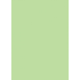 Χαρτι Canson Colorline 50X70 Σε Πρασινο Μηλο Χρωμα Apple Green  (105741027)