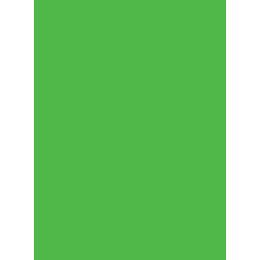 Χαρτι Canson Colorline 50X70 Σε Ανοιχτο Πρασινο Χρωμα  (105741029)