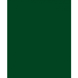 Χαρτι Canson Colorline 50X70 Σε Πρασινο Του Βρυου Χρωμα Moss Green  (105741030)