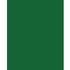 Χαρτι Canson Colorline 50X70 Σε Πρασινο Του Ελατος Χρωμα Fir Tree  (105741145)