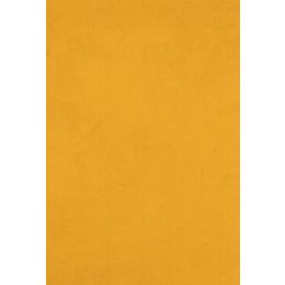 Χαρτι Canson Colorline 50X70 Σε Μουσταρδι Πορτοκαλι Χρωμα Leather  (105741032)