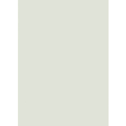 Χαρτι Canson Colorline 50X70 Σε Ανοιχτο Γκρι Χρωμα Light Grey  (105741141)