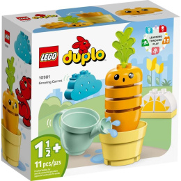 Lego Duplo My First Growing Carrot  (10981)