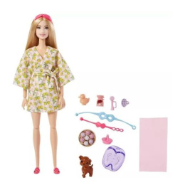 Barbie Wellness - Ημέρα Ομορφιάς Doll Spa Day  (HKT90)