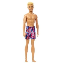 Barbie Ken Beach  (HPV23)