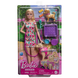Barbie Κουταβάκια Με Αναπηρικό Αμαξίδιο  (HTK37)