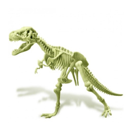 Επιτραπέζιο 4Μ Σκελετός T-Rex Φωσφορούχος  (4M0629)