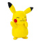 Pokemon Λούτρινο 20εκ Pikachu  (JW095217-W14-4)
