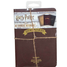 Harry Potter A6 Notebooks  (SLHP451)
